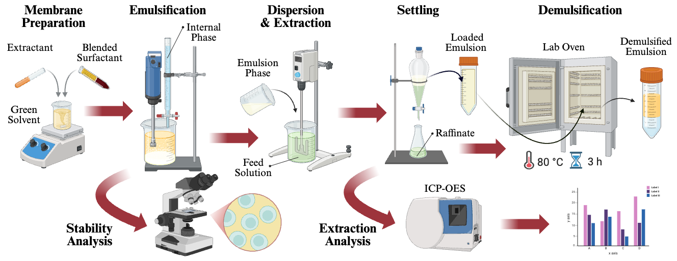 Experimental procedure of selective extraction using GELM